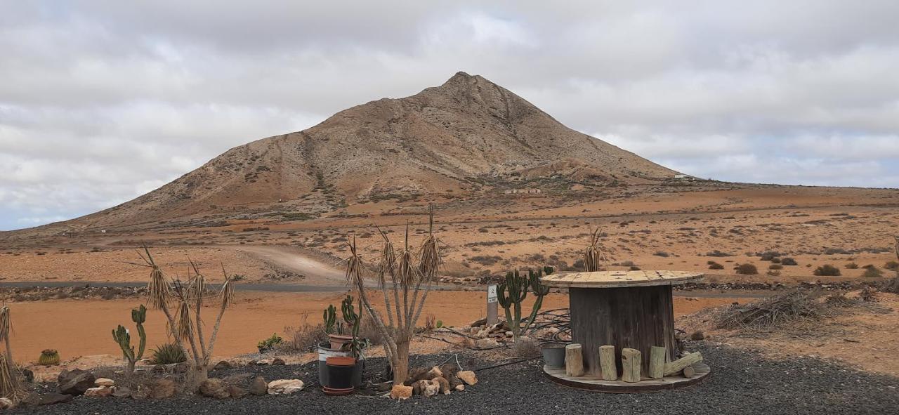 Willa Dos Gatos Fuertaventura Caleta De Fuste Zewnętrze zdjęcie