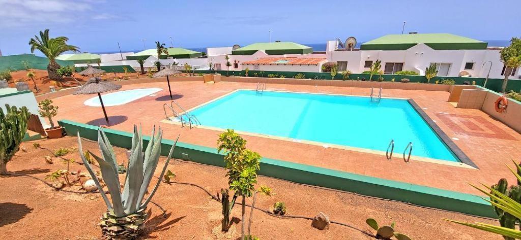 Willa Dos Gatos Fuertaventura Caleta De Fuste Zewnętrze zdjęcie